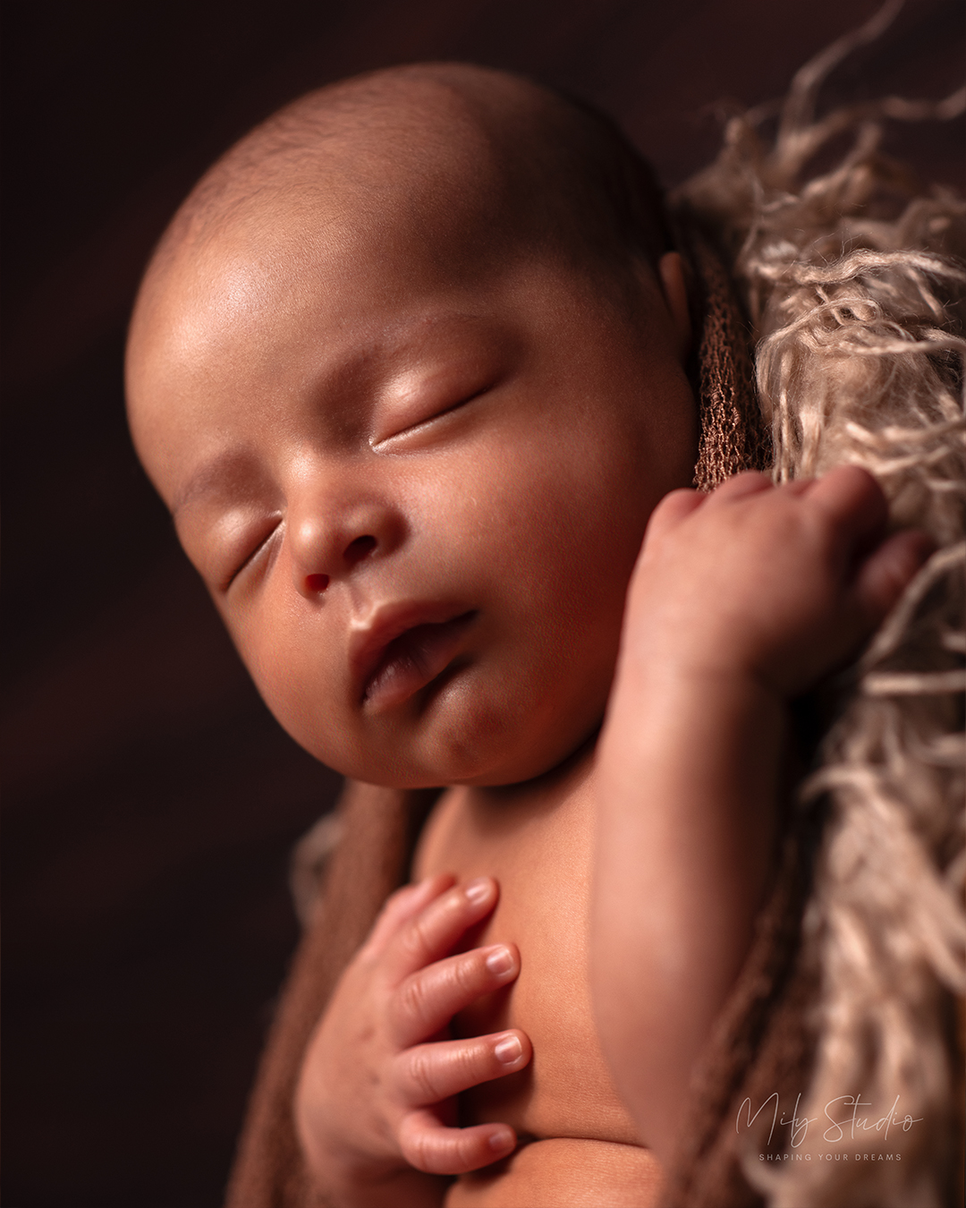 Family Photography