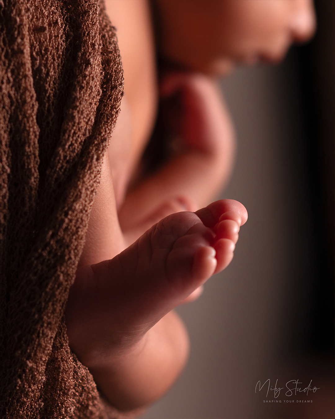 Family Photography
